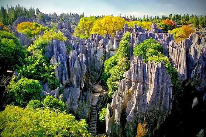 bosque de piedra de china